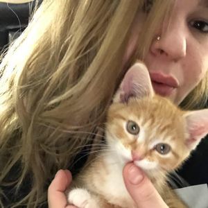 Meet your Posher, Rachel